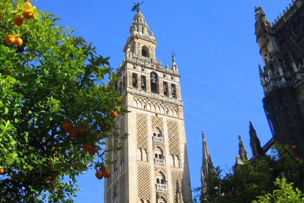 New! Cozy For Couples With Private Patio Seville